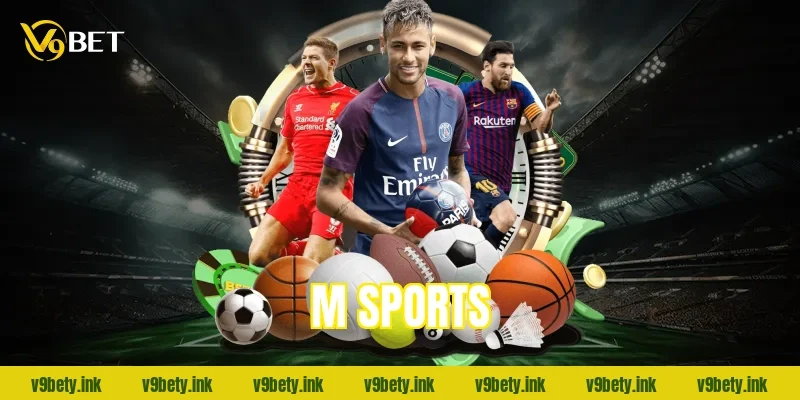 m sports 978 2